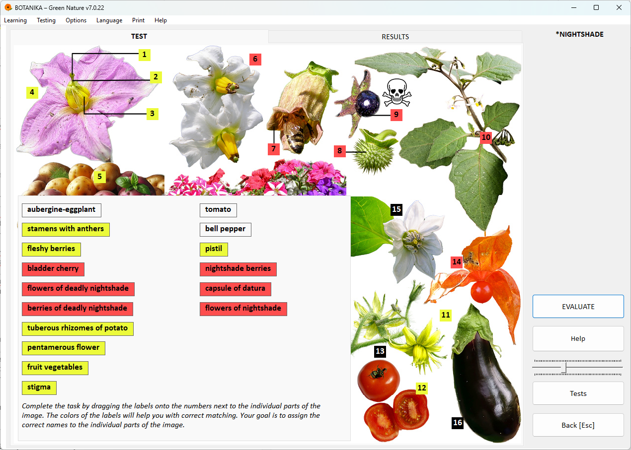 Botanical Tests