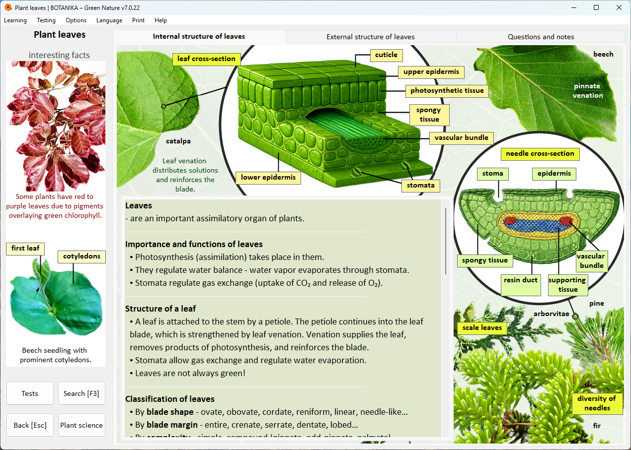 Learning Section