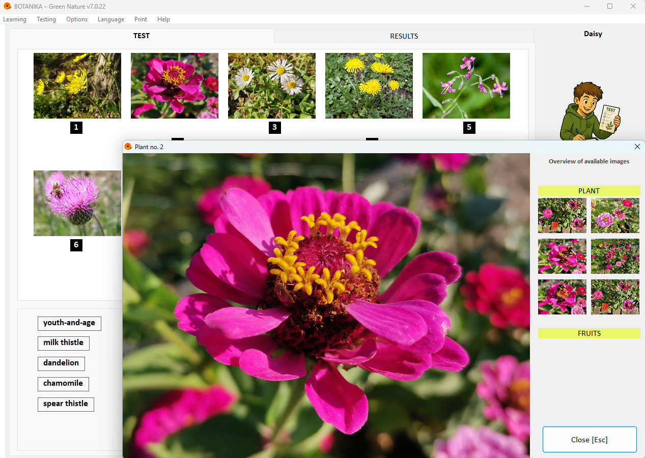 Photo Plant Recognition