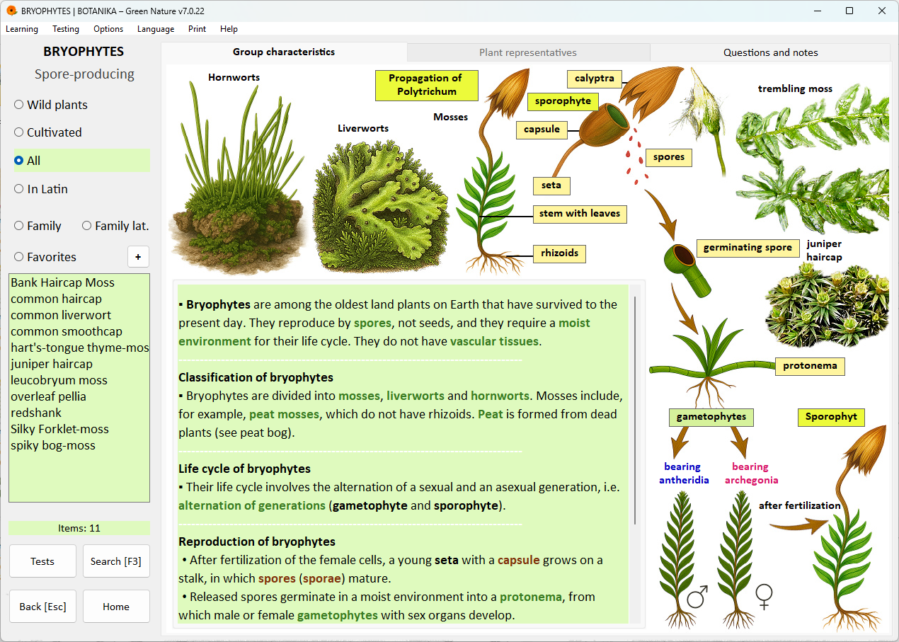 Digital Plant Atlas